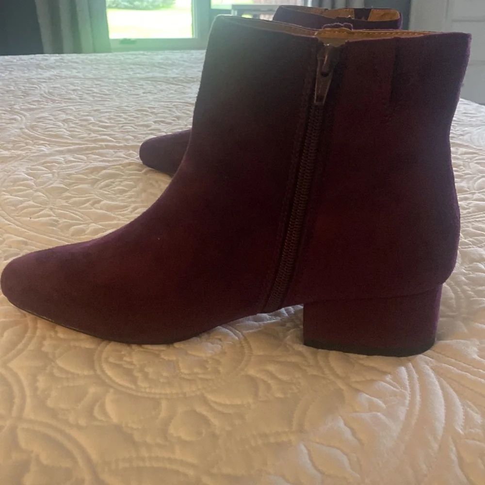 Plum colored low boots with a little fringe zipper. Brand new. - Picture 4 of 8